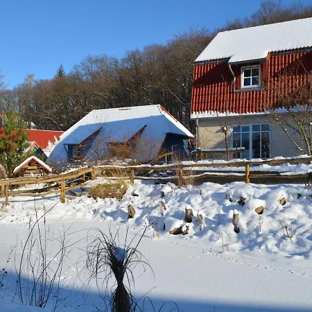 Holiday home In Mit Innenpool Wernigerode